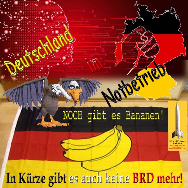 SilberRakete Deutschland im Notbetrieb Pleitegeier Noch gibt es Bananen In Kuerze keine BRD mehr