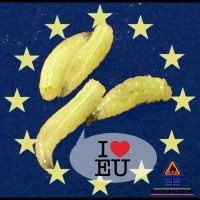 DH-EU_Maden_I_luv_EU