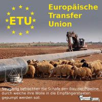 DH-EU_Transferunion_Pipeline_Schafe