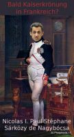 DH-Sarkozy_Napoleon
