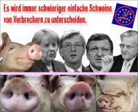 FW-eu-schweine-verbrecher