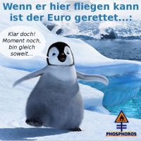 DH-Euro_Rettung_Pinguin