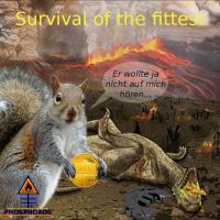 DH-Gold_Euro_Survival_of_the_fittest