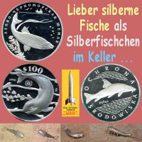SilberRakete_SilberneFische-Silberfischchen