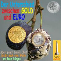 SilberRakete_Unterschied-Gold-Euro