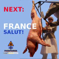 DH-Frankreich_PIG_next