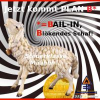 DH-Plan_B-BAIL-IN_Bloekendes_Schaf