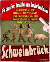 FW-spd-schweinbrueck_622x759