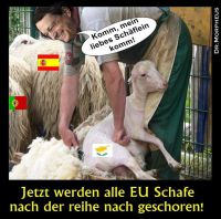 OD-EU-Schafe