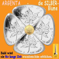 SilberRakete_ARGENTA-Silberblume-Maple