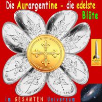 SilberRakete_AURARGENTINE-Silberblume-Maple3