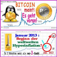 SilberRakete_BitCoin-Kurse-Jan2013-Beginn-Hyperinflation