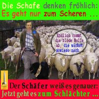 SilberRakete_EURO-Schafe-Draghi-Scheren-Schlaechter3