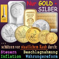 SilberRakete_GOLD-SILBER-Schutz-vor-staatlichem-Raub