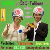 SilberRakete_GRUENE-Oeko-Volksverraeter2