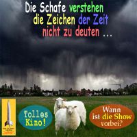 SilberRakete_Gewitter-Zeichen-der-Zeit-deuten-Schafe-Kino-Show
