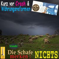 SilberRakete_Gewitter-vor-Crash-Waehrungsreform-Schafe-merken-nichts