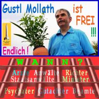SilberRakete_Gustl-Mollath-FREI-Verantwortliche-hinter-Gitter