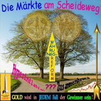 SilberRakete_Maerkte-am-Scheideweg-Hyperinflation-Crash-Waehrungsreform-GOLD-Gewinner