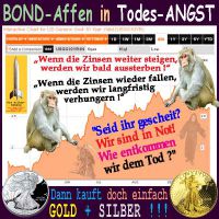 SilberRakete_US-Zinsen10Y-BondAffen-Sensenmann-GOLD-SILBER