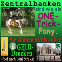 SilberRakete_Zentralbanken-One-Trick-Pony-Geld-drucken
