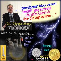 SilberRakete_JStark-EZB-BuBa-Zentralbanken-Kontrolle-verloren-Blitz-Euro-Schwarzer-Schwan-GOLD-SILBER