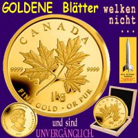 SilberRakete_Maple-1kg-GOLD-Blaetter-welken-nicht-Wert-unvergaenglich2