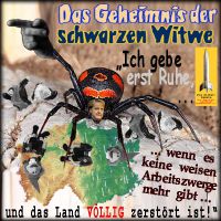 SilberRakete_Merkel-Schwarze-Witwe-Spinne-Deutschland-zerstoeren-keine-Arbeitszwerge2