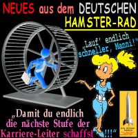 SilberRakete_Neues-aus-Deutschem-Hamsterrad-Schneller-laufen-naechste-Stufe-Karriere-Leiter