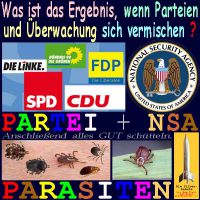 SilberRakete_Parteien-Ueberwachung-NSA-Ergebnis-Parasiten-Zecken-Milben-Schaben