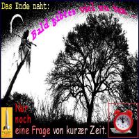 SilberRakete_Baum-Das-Ende-naht-Tod-bald-viel-zu-tun-Kurze-Zeit-5vor12-Wecker