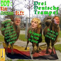 SilberRakete_DDT-Drei-Deutsche-Trampel-JFischer-CRoth-JTrittin-Trampeltiere-auf-Deutschen-Fahnen