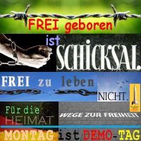 SilberRakete_FREI-geboren-ist-Schicksal-Frei-zu-leben-nicht-Ketten-Heimat-Wege-zur-Freiheit-Montag-Demo-Tag3