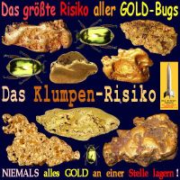 SilberRakete_Groesstes-Risiko-von-GOLD-Bugs-Klumpen-Kaefer-Niemals-alles-an-einer-Stelle-lagern
