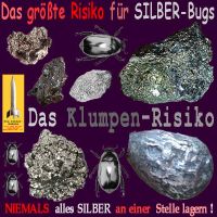SilberRakete_Groesstes-Risiko-von-SILBER-Bugs-Klumpen-Kaefer-Niemals-alles-an-einer-Stelle-lagern
