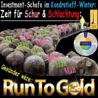 SilberRakete_Investment-Schafe-im-Kondratieff-Winter-Zeit-fuer-Schur-Schlachtung-Run-to-GOLD