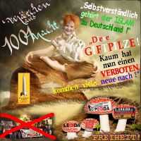 SilberRakete_Maerchen-1001Nacht-FliegenderTeppich-Merkel-ISLAM-zu-Deutschland-Demo-verbieten-Giftpilze-wachsen-nach