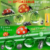 SilberRakete_Optimismus-der-groessten-SILBER-Bugs-Teurer-als-GOLD-Marienkaefer-Wassertropfen2