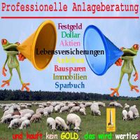 SilberRakete_Professionelle-Anlageberatung-Froesche-Papier-Immobilien-Aktien-Schafe-Kein-GOLD2