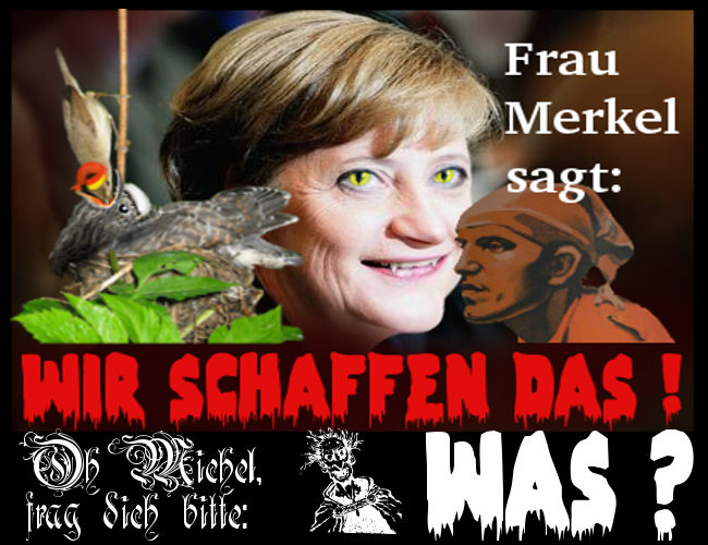 AN-Merkel-sagt