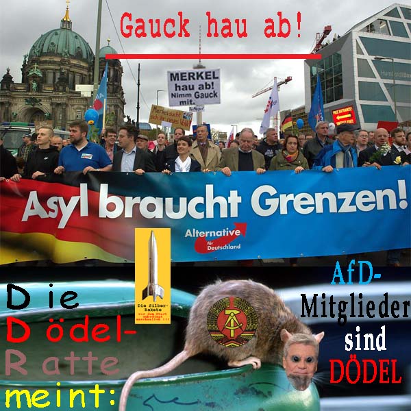 SilberRakete Gauck-hau-ab-Doedelratte-DDR-meint-AfD-Mitglieder-sind-Doedel-Demo