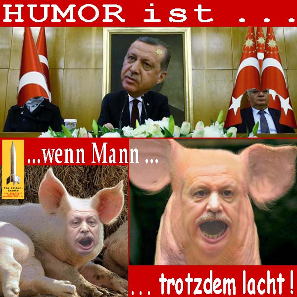 SilberRakete Humor-ist-wenn-Mann-trotzdem-lacht-Erdogan-Tuerkei-Schwein-Fahnen