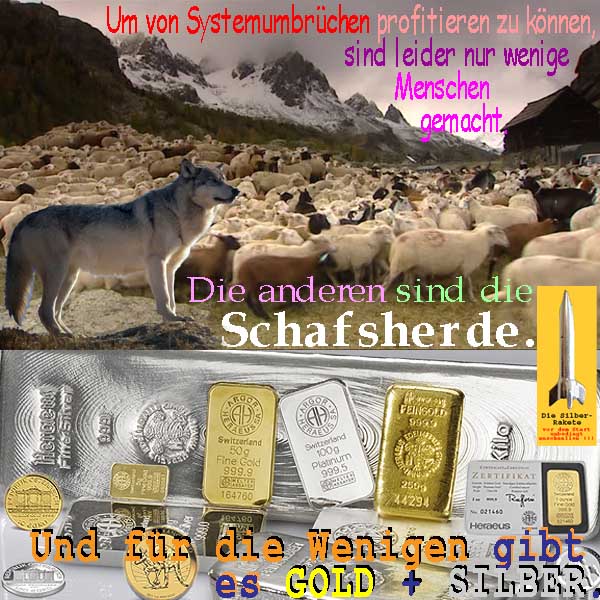 SilberRakete Systemumbruch-profitieren-nicht-Schafsherde-Wenige-Woelfe-GOLD-SILBER