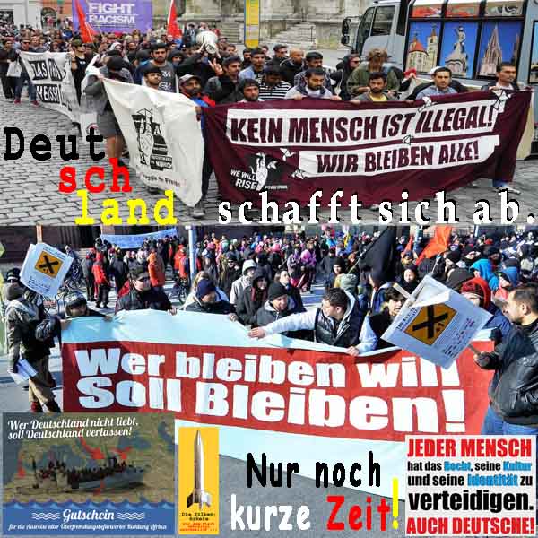 SilberRakete Deutschland schafft sich ab Asylanten demonstrieren Wer D nicht liebt verlassen Nur noch kurze Zeit