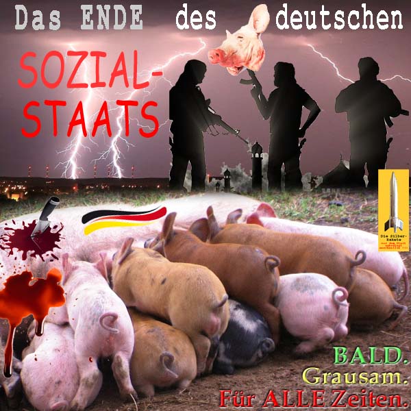 SilberRakete Ende des Deutschen Sozialstaats Islam Schwein gekoepft Blut Gewitter Bald Grausam Fuer alle Zeit